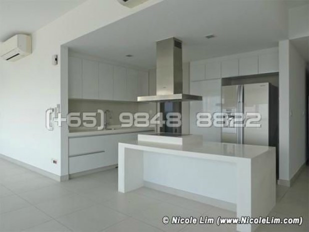 The Rochester Residences (D5), Apartment #45817322